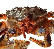 King Crab