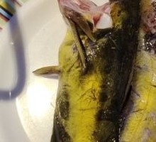 Yellow Croaker