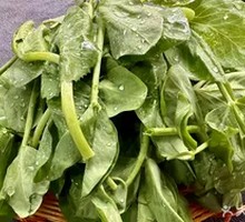 Bean Sprout Greens