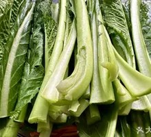 Bitter Greens Salad