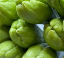 Bottle Gourd