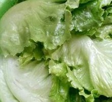 Lettuce