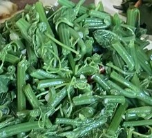 Stir-Fried Zucchini