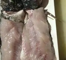 Tilapia Hot Pot