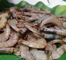 Prawn