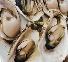 Oyster