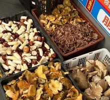 Milk Mushroom
