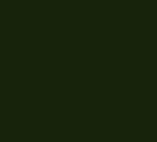 Blue-staining Mushroom