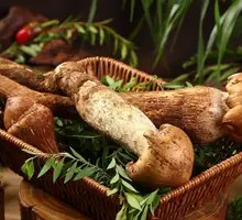 Chicken Mushroom