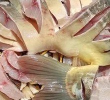 Osmanthus Fish