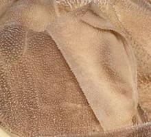 Grassland Tripe Layers