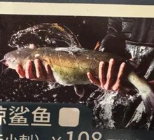 Whale Shark Dish