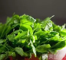 Pea Shoots