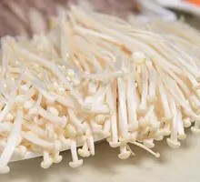 Enoki Mushroom