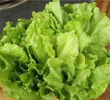 Lettuce