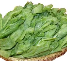 Pea Shoots