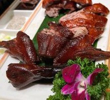 Small Knife Duck