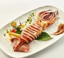 Argentine Deep-Sea Giant Squid