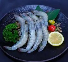 Shrimp