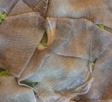 Fresh Beef Tripe from the Butcher