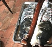 Lancang River Bighead Carp