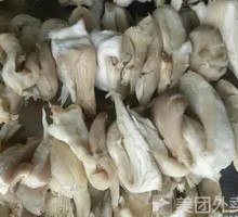 Artificial Mushroom