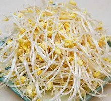 Bean sprouts