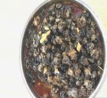 Snail Meat