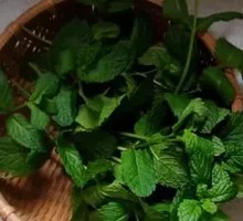 Fresh Mint Salad