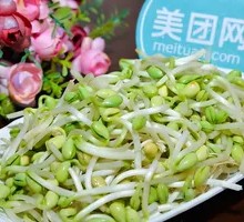 Bean sprouts