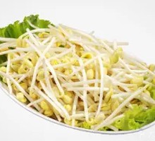 Bean sprouts