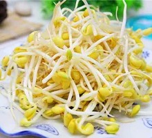 Bean sprouts