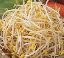 Bean sprouts