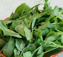 Pea Shoots