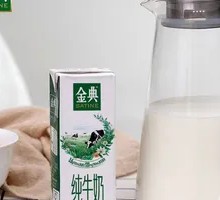 Yili Classic Pure Milk