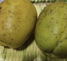 Stir-Fried Unripe Papaya Salad
