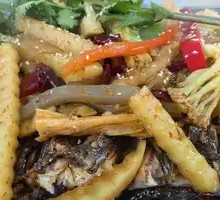 Spicy Grilled Tilapia