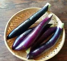 Eggplant