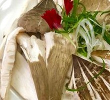 Chicken Mushroom Pot