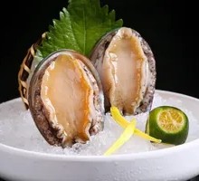 Fifteen Fresh Abalone