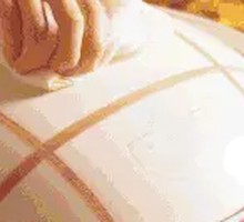 Braised Qingyuan Black Goose