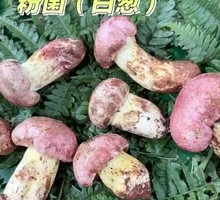 White Onion Stir-fry