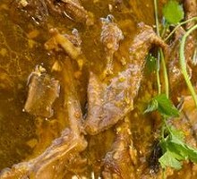 Secret-Recipe Duck Meat