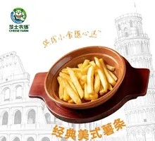 Classic American French Fries