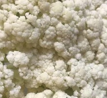 Chinese Kale