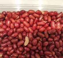 Crispy Peanuts