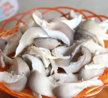 Artificial Mushroom