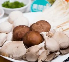 Shiitake Mushroom