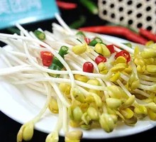 Bean sprouts