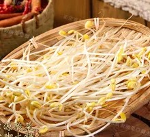 Bean sprouts